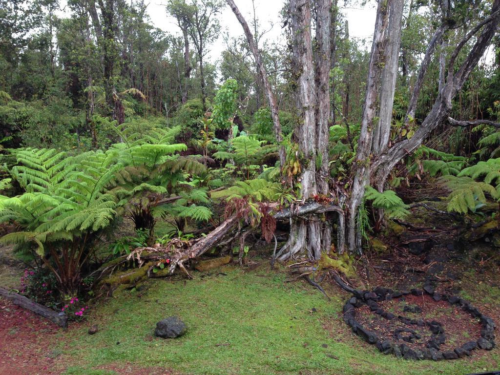 Honu Hale Villa Volcano Exterior photo